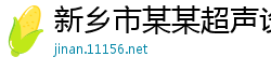 新乡市某某超声设备服务中心